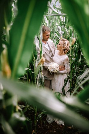 Valmiera, Latvia - August 10, 2023 - Bride and groom standing intimately among tall cornstalks, gazing into each others eyes