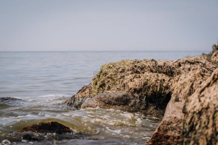Foto de Tuja, Letonia - 14 de agosto de 2023 - Rocas cubiertas de algas marinas en el borde del agua con suaves olas en el fondo. - Imagen libre de derechos