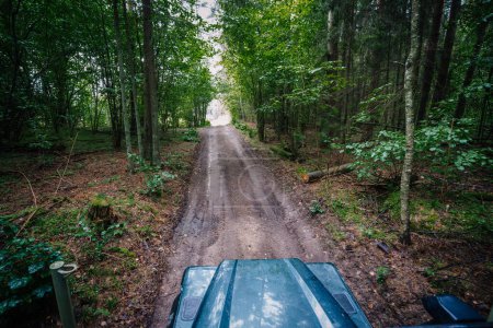 Dobele, Lettland - 18. August 2023 - Fahrerperspektive auf einer Forststraße aus dem Inneren eines Geländewagens, umgeben von dichten Bäumen.