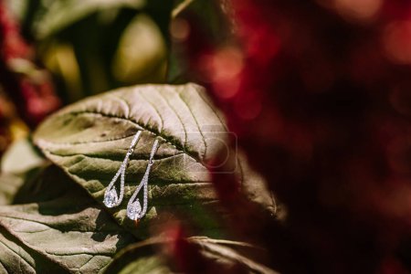 Valmiera, Latvia - August 19, 2023 - Diamond earrings rest on a green leaf, with a blurred background creating a warm bokeh effect.