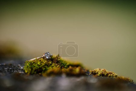 Foto de Valmiera, Letonia - 19 de agosto de 2023 - Acercamiento de un anillo de diamantes sobre musgo verde, enfatizando los intrincados detalles de la gema y la textura natural del musgo. - Imagen libre de derechos