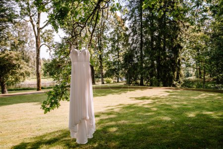 Valmiera, Latvia - August 19, 2023 - A wedding dress elegantly hangs from a tree branch in a lush park setting with a lake visible in the background, under a clear sky.