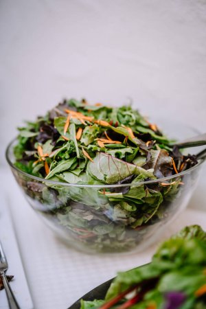 Valmiera, Lettland - 19. August 2023 - Eine Glasschüssel gefüllt mit einem frischen gemischten grünen Salat mit verschiedenen Blättern und zerfetzten Möhren.