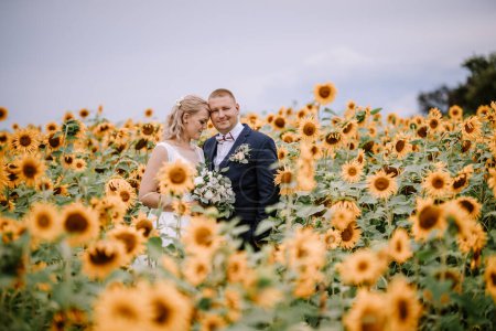 Photo for Valmiera, Latvia - August 25, 2023 - A bride and groom share an intimate moment among a field of sunflowers. - Royalty Free Image