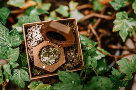 Riga, Latvia, - August 26, 2024 - A wooden box containing two silver rings, surrounded by greenery and natural elements, possibly for an outdoor wedding or engagement setting.