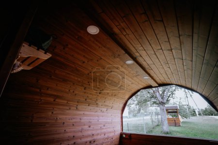 Gebogene Holzdecke mit Einbauleuchten in einem gemütlichen Saunaraum mit Blick durch das Fenster auf den grünen Garten. Kopierraum.