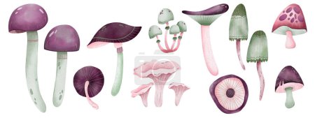 Photo for Set of magic mushrooms. Shroom boom in autumn. Digital watercolor illustration. - Royalty Free Image