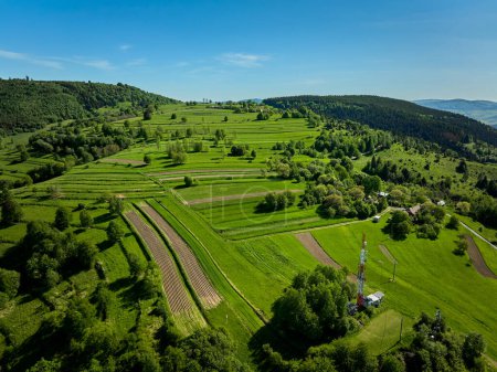 Téléchargez les photos : Nature en Hrinova en Slovaquie sur fond - en image libre de droit