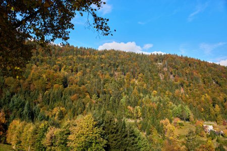 Téléchargez les photos : Paysage pittoresque à Jamnik, Slovénie - en image libre de droit