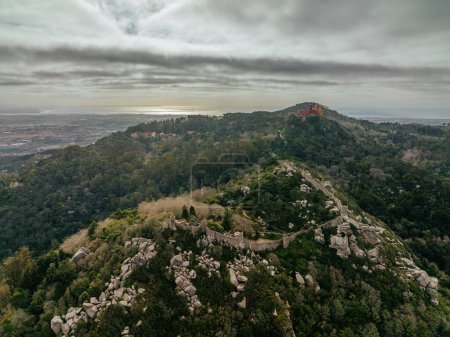 Photo for Park and National Palace of Pena in Sintra, Portugal - Royalty Free Image