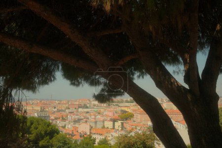 Photo for Scenic view of Lisbon's historical landmarks from an aerial perspective - Royalty Free Image