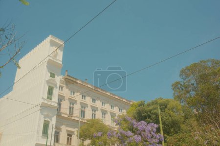 Photo for Beautiful old buildings in Lisbon, Portugal, with their fancy designs and intricate details - Royalty Free Image