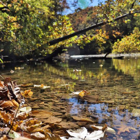 Foto de Paisaje de otoño con un río y hojas - Imagen libre de derechos