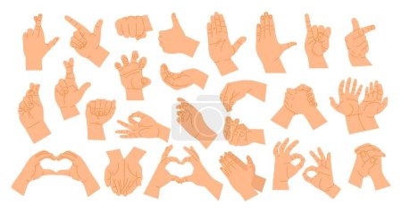 Téléchargez les illustrations : Les gestes de la main posent. Dessin animé mains humaines montrant différents signes. Doigts et geste de la paume. Affichage d'arrêt de position, coeur, poing, pose avec index, illustration vectorielle de bras divers. Signaux isolés - en licence libre de droit