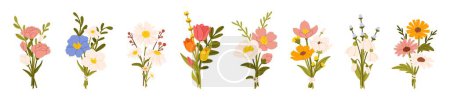 Illustration for Flower bouquets. Garden blossoming flowers with stem and leaves, floral bouquet. Various cartoon romantic flowering plant for Woman and Mother day. Vector set. Springtime floral celebration - Royalty Free Image