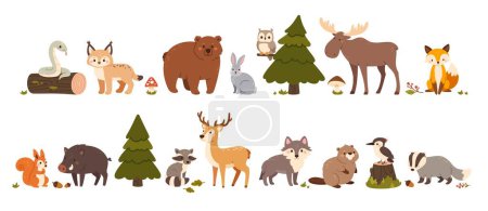 Illustration for Cute woodland animals. Forest beasts bear, hare and fox, elk and squirrel, wild boar and deer, wolf and snake, badger and raccoon, beaver. Vector set. Fir tree, acorns and childish fauna - Royalty Free Image