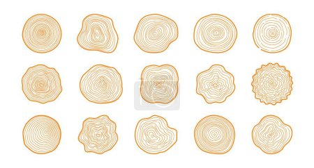 Illustration for Tree rings. Hand drawn wood slice texture. Abstract tree age year circle. Line wooden circular ripple, nature timber, fractal stump. Organic trees material. Vector set. Isolated trunk elements - Royalty Free Image