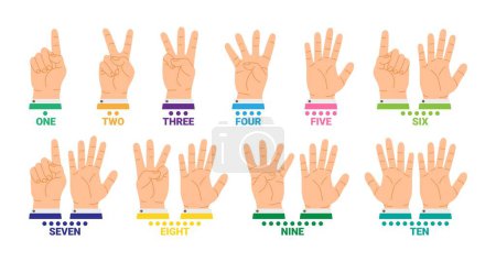 Hände zählen mit Fingern. Cartoon zählen von eins bis zehn, Zahlen zeigen, mit Handgesten. Zehn gepunktete Zahlen. Grundlagen des Mathematiklernens. Vektorillustration. Bildung in der Schule