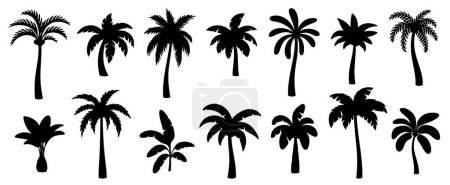 Illustration for Black palm silhouettes. Tropical trees shadows. Variety beach palms with leaves. Oasis, paradise, island, resort, vacation monochrome symbols isolated on white background. Vector set. Hawaii nature - Royalty Free Image