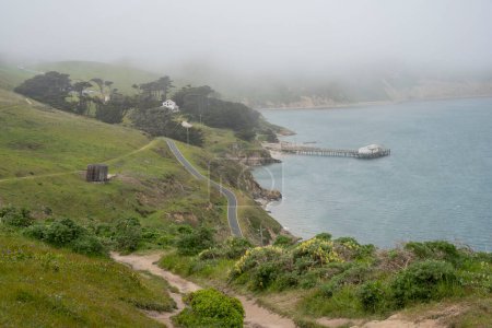 Photo for Cold and Foggy day at Point Reyes - Royalty Free Image