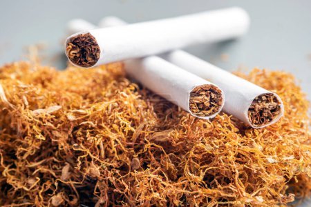 Cigarrillo en el cultivo de tabaco. Dejar de fumar es el proceso de interrumpir la práctica de inhalar una sustancia fumada. Dejar de fumar se puede lograr con o sin ayuda.
