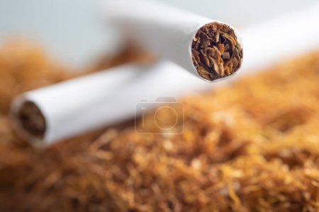 Foto de Pipa de tabaco con un cigarrillo. - Imagen libre de derechos