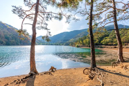 Foto de El Paisaje del Lago Borabay (Boraboy), también conocido como Lago Kocabey, es un lago embalsamado en Tasova, provincia de Amasya, Turquía. El lago y sus alrededores fueron declarados parque natural en 2014. - Imagen libre de derechos