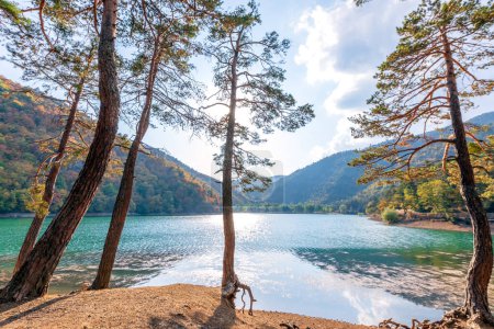 Téléchargez les photos : Paysage du lac Borabay (Boraboy), également connu sous le nom de lac Kocabey, est un lac de barrage de glissement de terrain dans Tasova, province d'Amasya, Turquie. Le lac et ses environs ont été déclarés parc naturel en 2014. - en image libre de droit