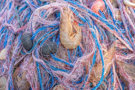 Photo for Close up view prawn and fishing net. Prawn and shrimp are a common name for small aquatic crustaceans with an exoskeleton and ten legs some of which can be eaten. They are important types of seafood. - Royalty Free Image