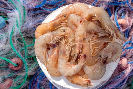 Photo for European fresh shrimps or prawns on the shrimp net. The term shrimp is used to refer to some decapod crustaceans, although the exact animals covered can vary. - Royalty Free Image