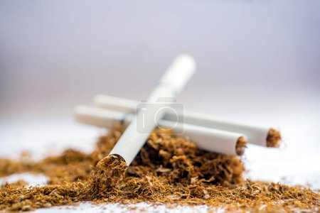 Téléchargez les photos : Close up view of the filtered cigarettes on stack of tobacco. Also known colloquially as a fag in British English is a narrow cylinder containing psychoactive material, usually tobacco, that is rolled into thin paper for smoking. - en image libre de droit