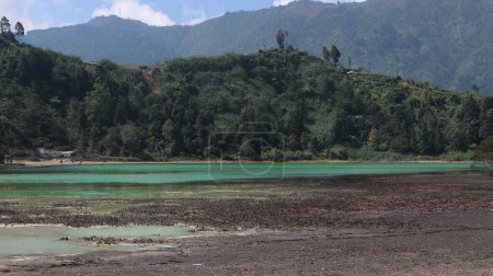 Téléchargez les photos : Lac volcanique Telaga Warna au plateau Dieng - en image libre de droit