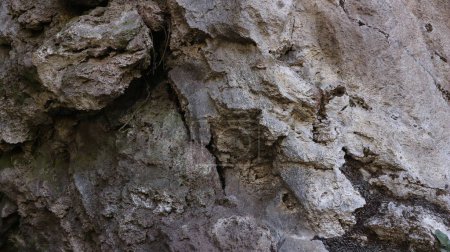 Vieux visage Shabby Cliff Aged et divisé par d'énormes fissures et couches. Texture grossière, rugueuse de pierre grise ou de roche des montagnes, arrière-plan et espace de copie pour le texte sur la géologie thématique et l'alpinisme