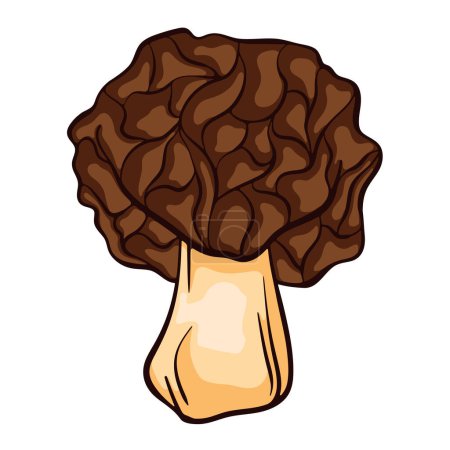 Illustration for False morel inedible mushroom in cartoon style. Great for menu, label, product packaging, recipe. Vector illustration isolated on white background. Morchella Gyromitra esculenta. - Royalty Free Image