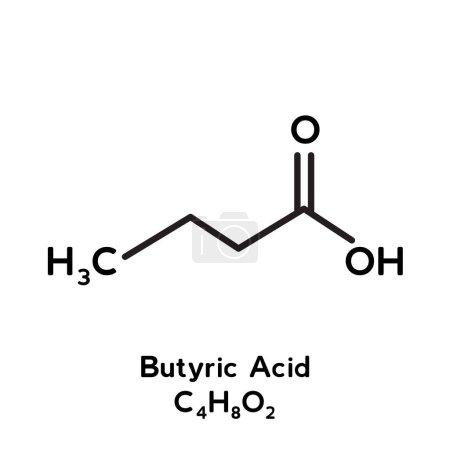 Illustration for Butyric acid molecule structure vector - Royalty Free Image