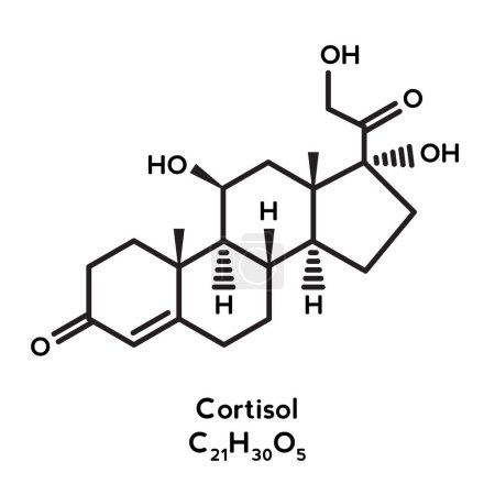 Illustration for Cortisol molecular structure chemical formula - Royalty Free Image