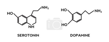 Illustration for Icon set of serotonin and dopamine structures - Royalty Free Image