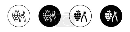 Conjunto de iconos de uva de poda. Tijeras de la planta del vino Símbolo vectorial en un estilo negro lleno y delineado. Signo de maestría de cultivo.