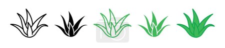 Set de iconos de Aloe Vera. Planta agave símbolo vector médico en un estilo negro lleno y esbozado. Calmante signo de remedio.