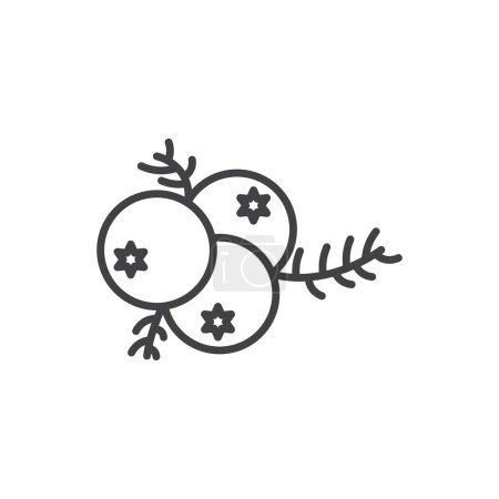 Set de iconos de enebro. Berry Gin Blueberry Vector Symbol in a Black Filled and Outlined Style. El signo del espíritu de la naturaleza.