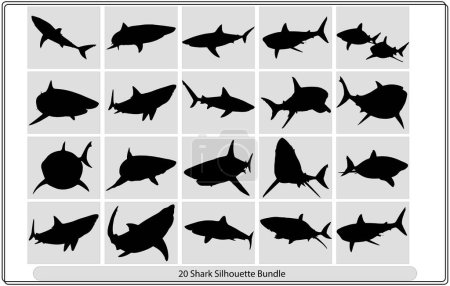 Illustration for Silhouette set of shark,Shark icon,Vector illustration of a black silhouette shark - Royalty Free Image