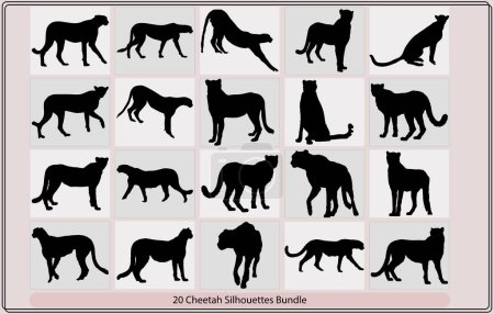 Illustration for Vector silhouette of cheetah,Cheetah run cycle spritesheet Silhouette,Vector diffirent silhouettes of a cheetah poses, - Royalty Free Image