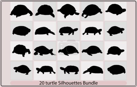 Illustration for Turtle Vector Silhouettes,Sea turtle icon,Silhouettes turtle-vector,Silhouette of a sea turtle - Royalty Free Image