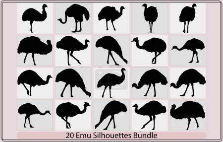Téléchargez les illustrations : Silhouette Emu, Silhouette vectorielle Emu, Oiseau Emu, Silhouette d'Emu, Silhouette vectorielle Emu - en licence libre de droit