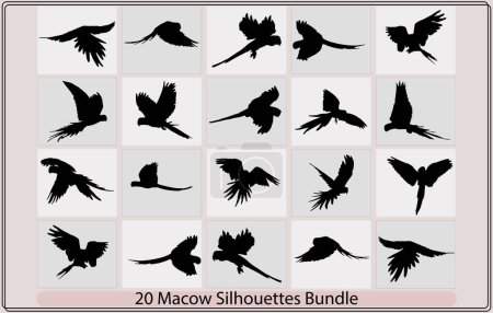 Ilustración de Silueta vectorial macow, Tropical salvaje pájaro negro siluetas iconos conjunto aislado vector ilustración, - Imagen libre de derechos