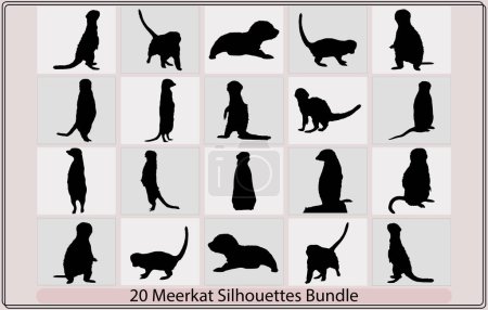 Illustration for Vector illustration of a black silhouette meerka,meerkat silhouettes Suricata suricatta,Vector illustration of black silhouette meerkat - Royalty Free Image
