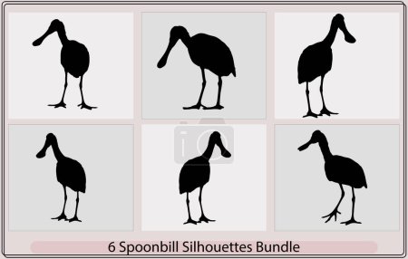 Illustration for Vector silhouette of standing Spoonbill,Roseate Spoonbill bird logo design,Spoonbill Bird silhouettes vector collection - Royalty Free Image