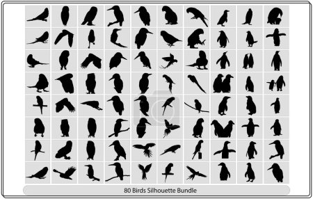Ilustración de Siluetas de aves voladoras sobre fondo blanco. Ilustración vectorial, Colección de diferentes siluetas de aves posición.Vector Colección de siluetas de aves - Imagen libre de derechos