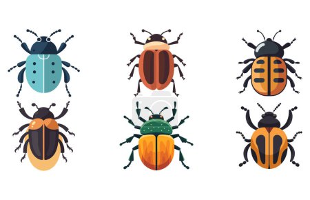 Beetle Rhino Illustration Clip Art Design Shape set, Beetle Icon Vector set