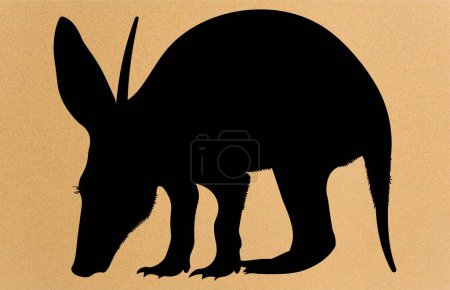 Vecteur de silhouette Aardvark, Animal sauvage, Illustration de silhouette Aardvark isolée sur fond blanc. Animaux rares.
